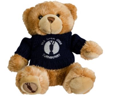 The Open Teddy Bear